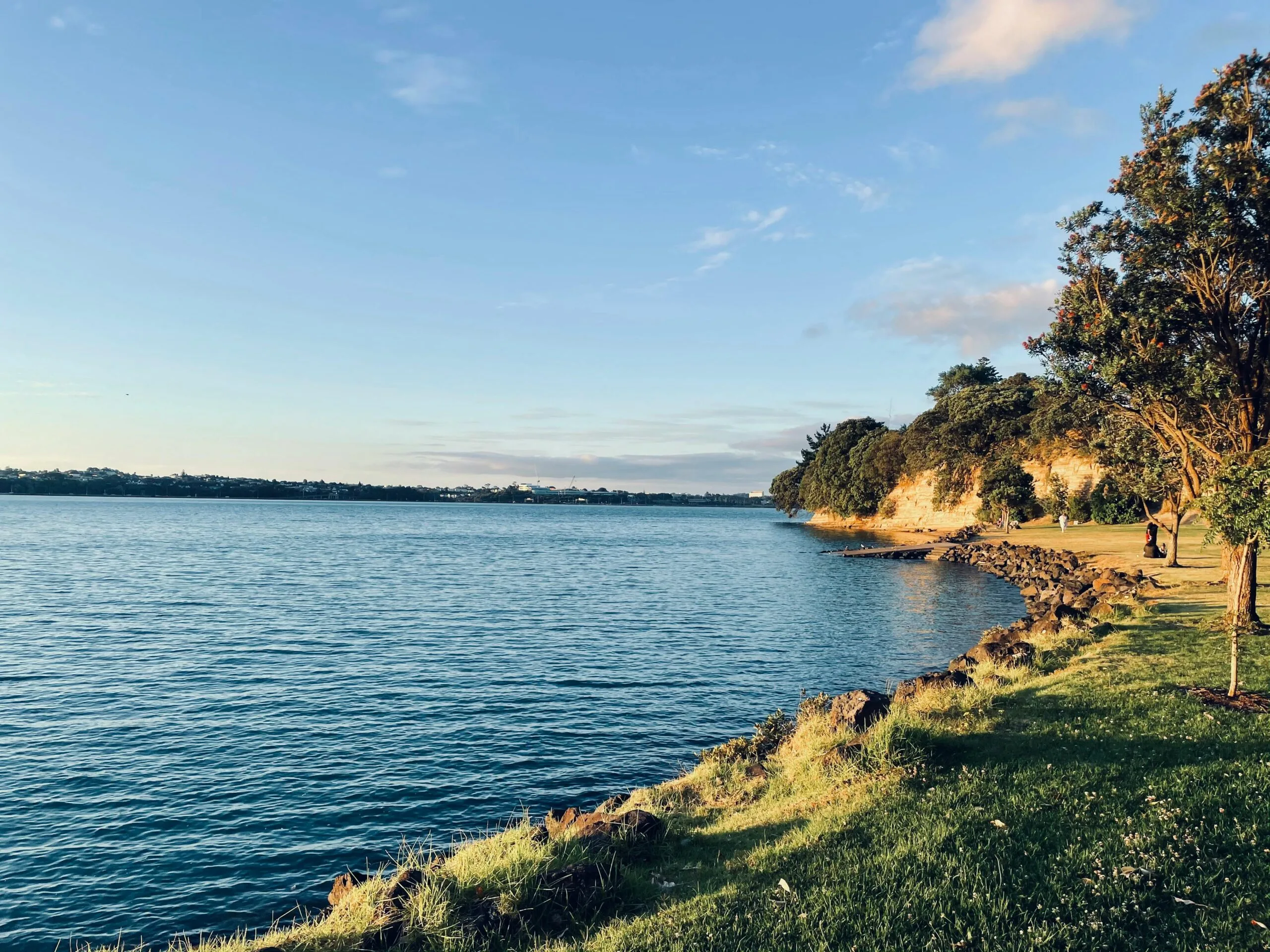 Peaceful lakeside scenery in Auckland with clear water and lush greenery, perfect for nature backgrounds.