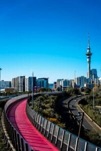 Explore Auckland's iconic pink pathway with striking city skyline and Sky Tower backdrop.